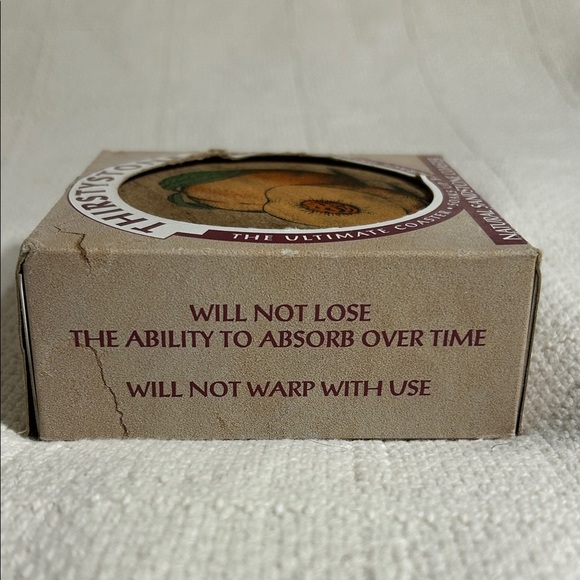 Thirstystone Sandstone Coaster Set with Peach Illustration - Picture 4 of 7